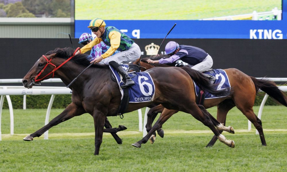 次引发关注 次引发关注