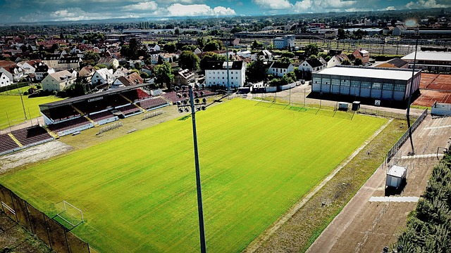 的战术方案 的战术方案